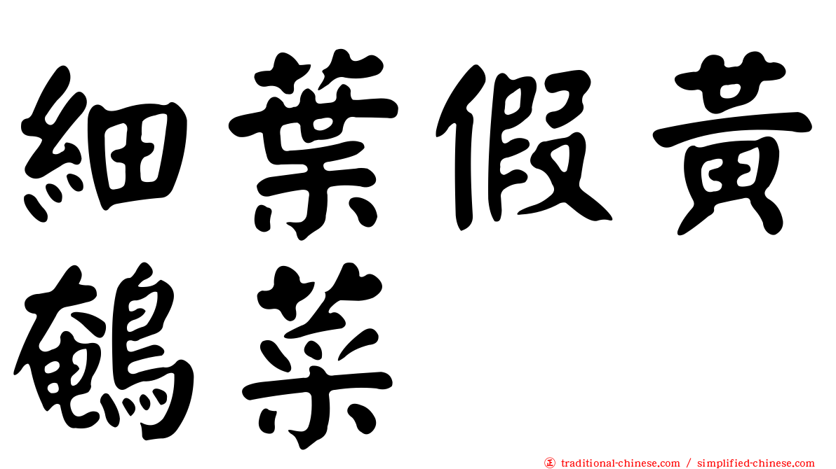 細葉假黃鵪菜