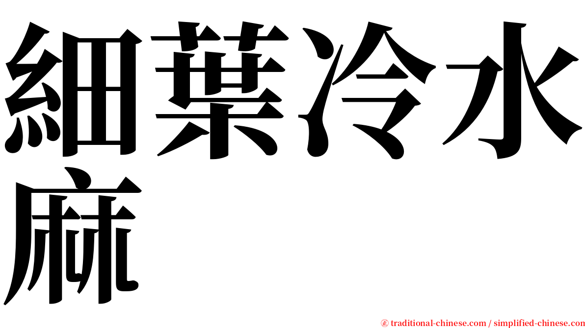 細葉冷水麻 serif font