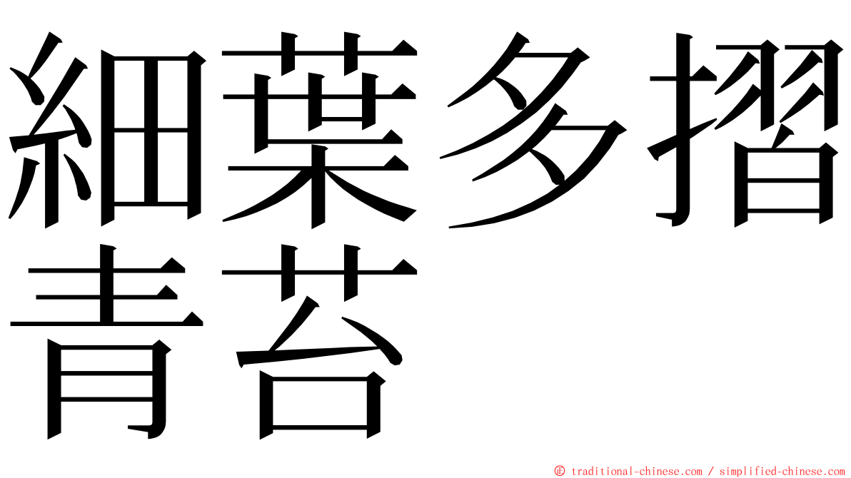 細葉多摺青苔 ming font