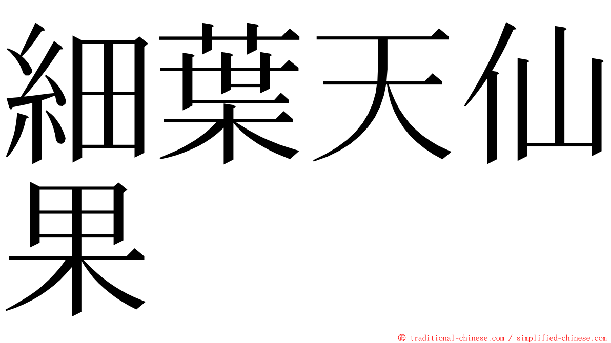 細葉天仙果 ming font