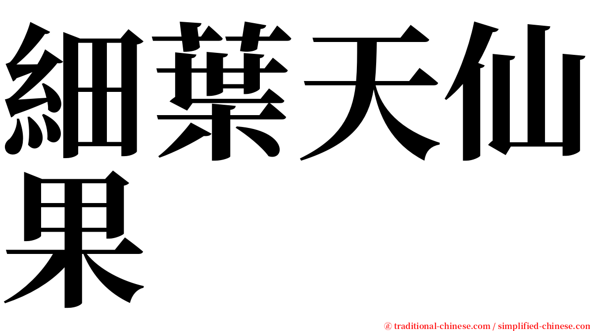 細葉天仙果 serif font