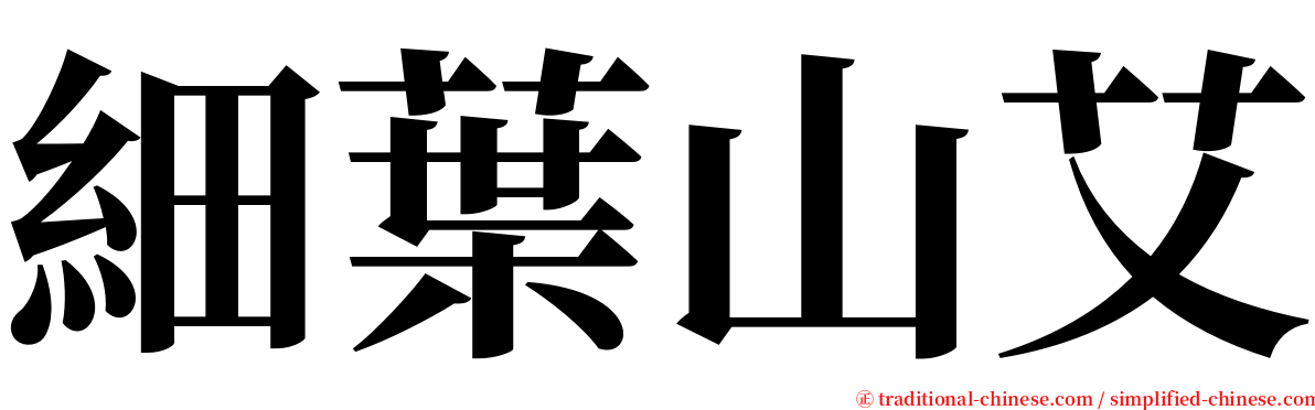 細葉山艾 serif font