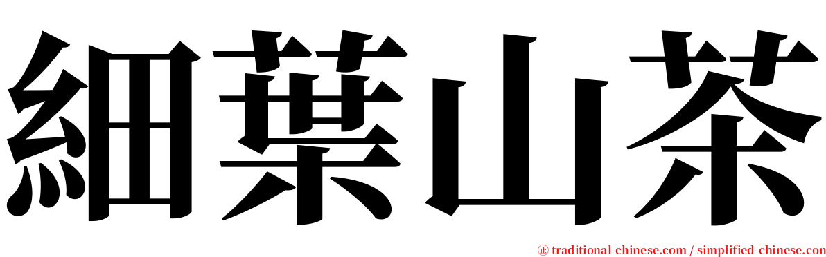細葉山茶 serif font
