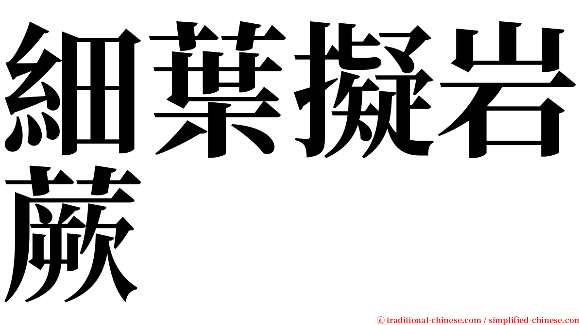 細葉擬岩蕨 serif font