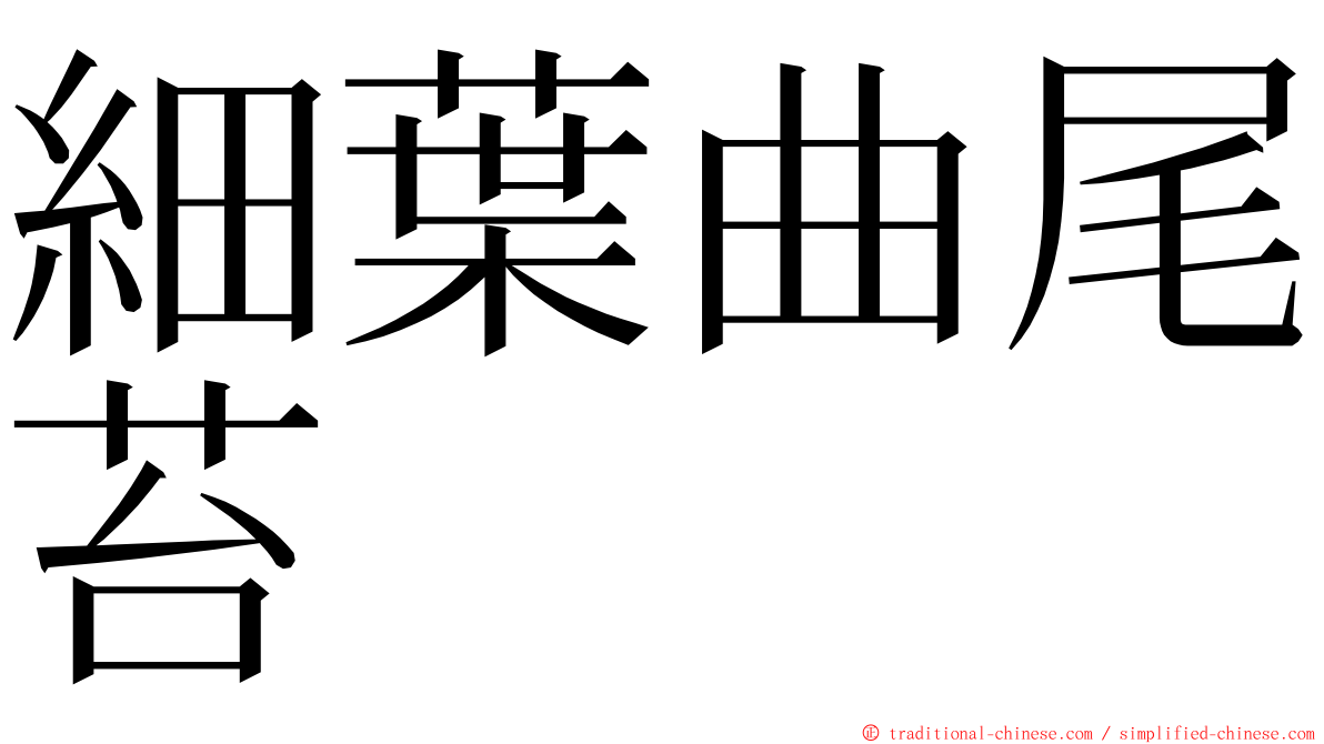 細葉曲尾苔 ming font