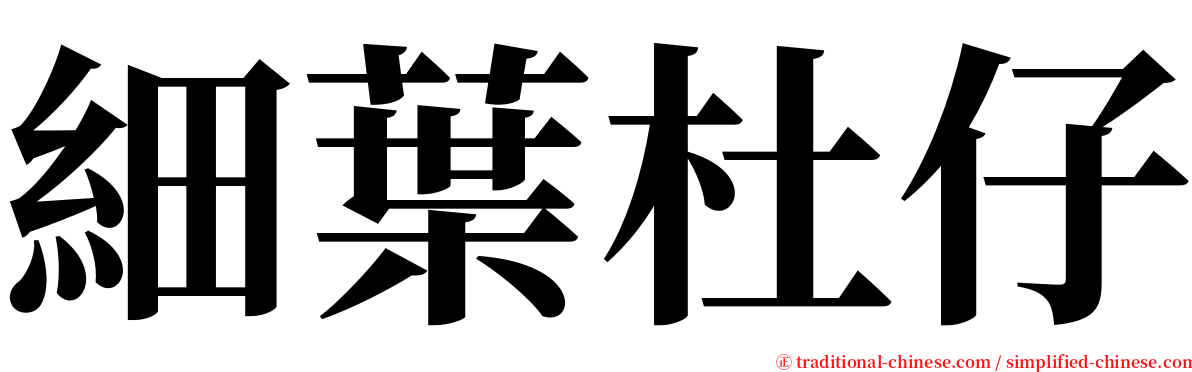 細葉杜仔 serif font