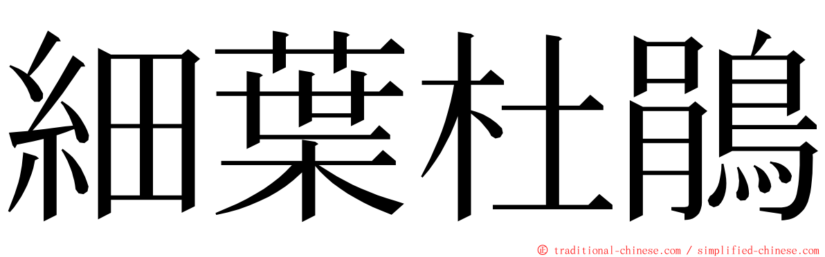 細葉杜鵑 ming font