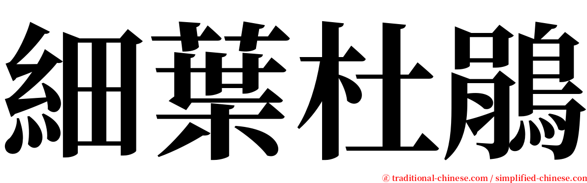 細葉杜鵑 serif font