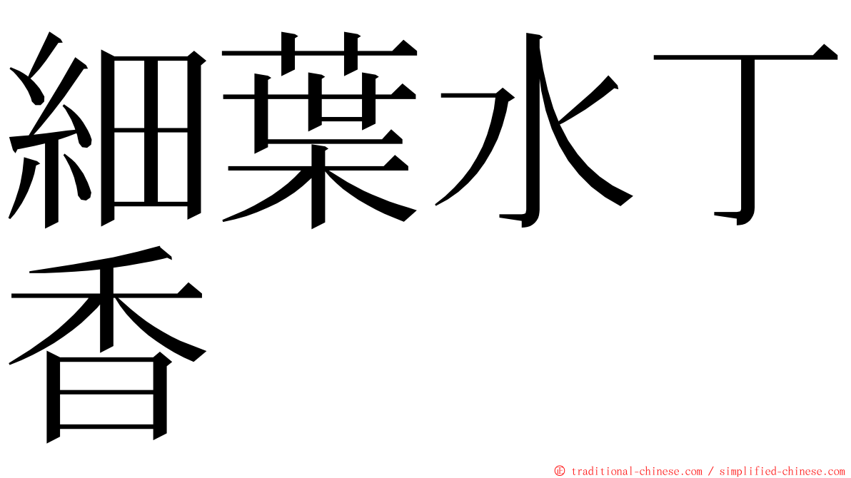 細葉水丁香 ming font