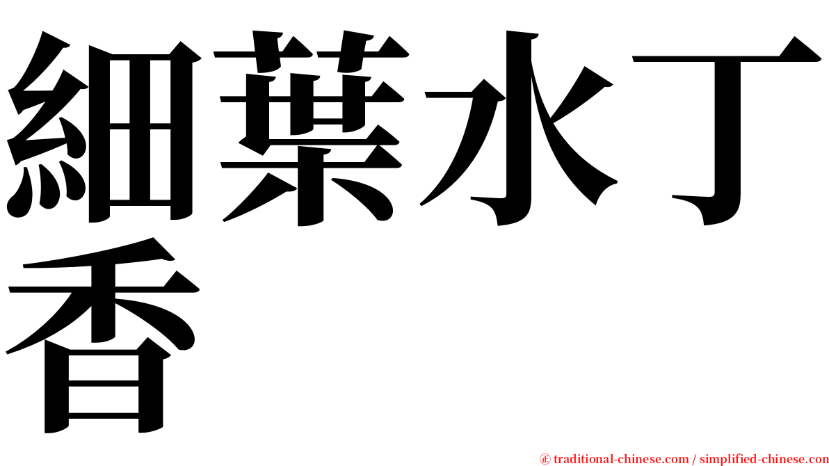 細葉水丁香 serif font