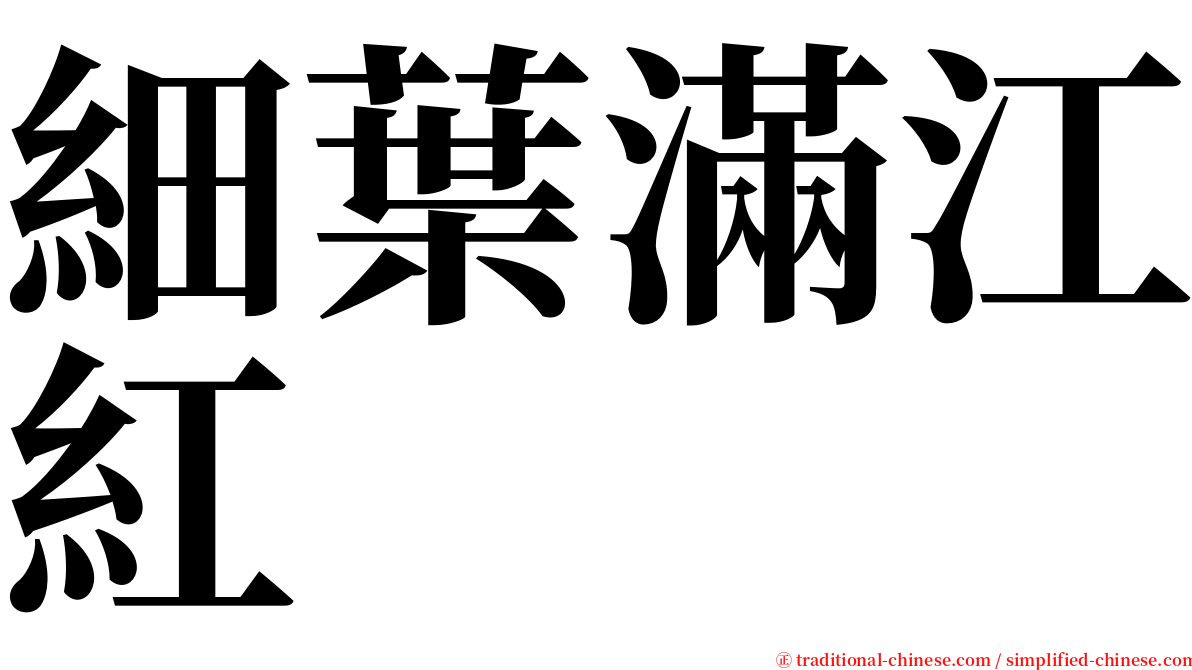 細葉滿江紅 serif font