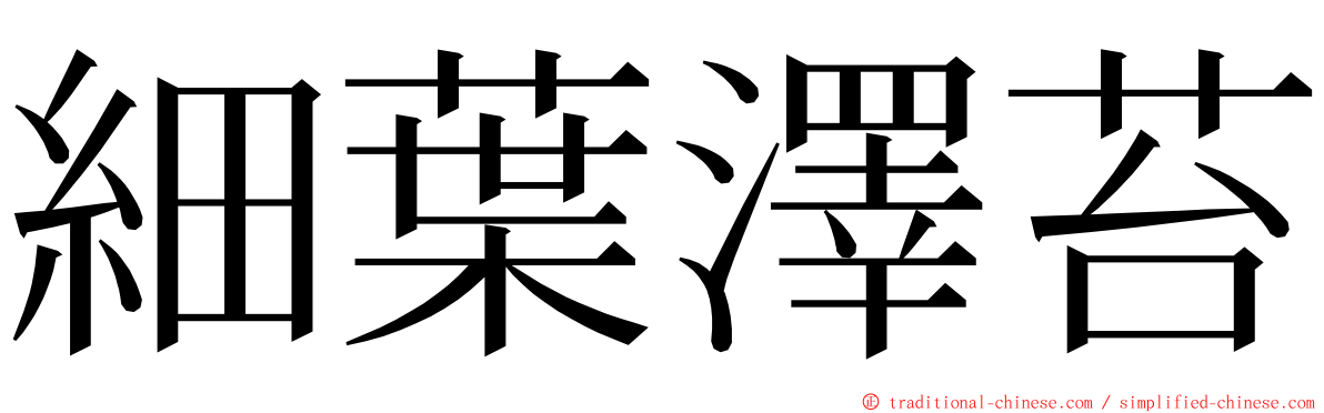 細葉澤苔 ming font