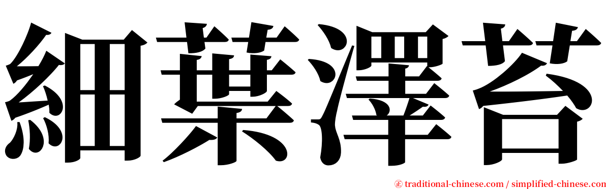 細葉澤苔 serif font