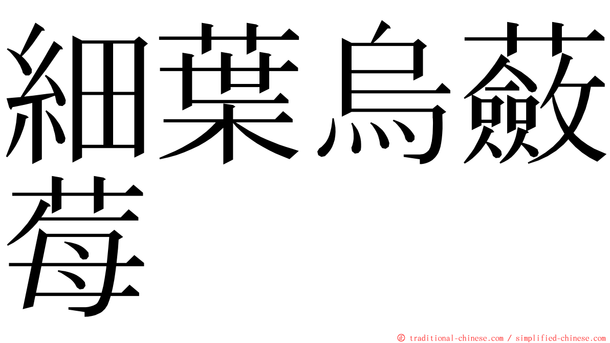 細葉烏蘞莓 ming font