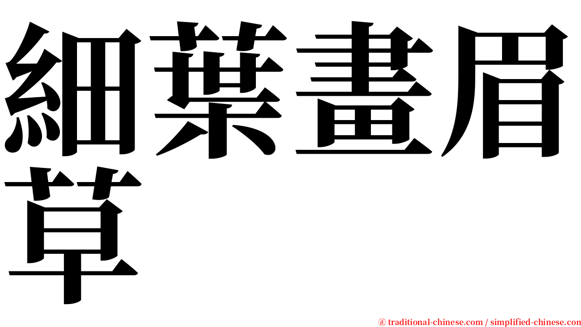 細葉畫眉草 serif font