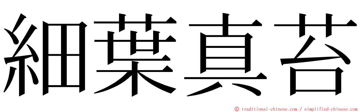 細葉真苔 ming font