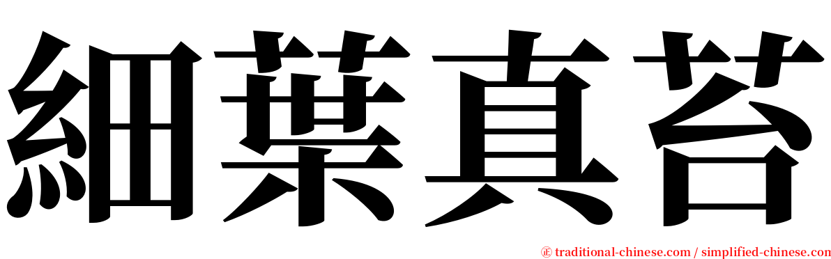 細葉真苔 serif font