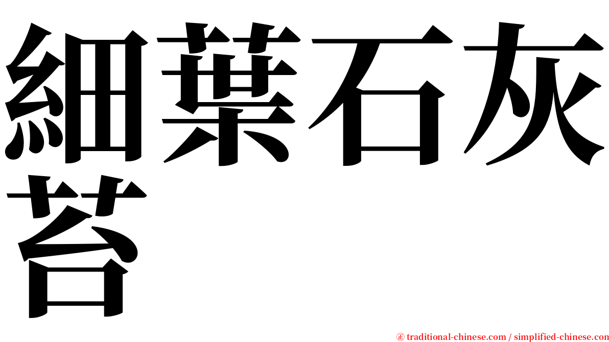 細葉石灰苔 serif font