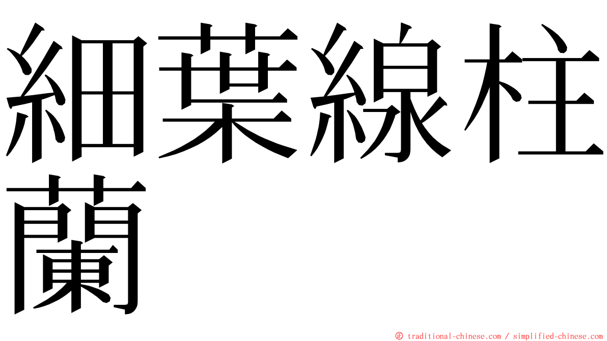 細葉線柱蘭 ming font