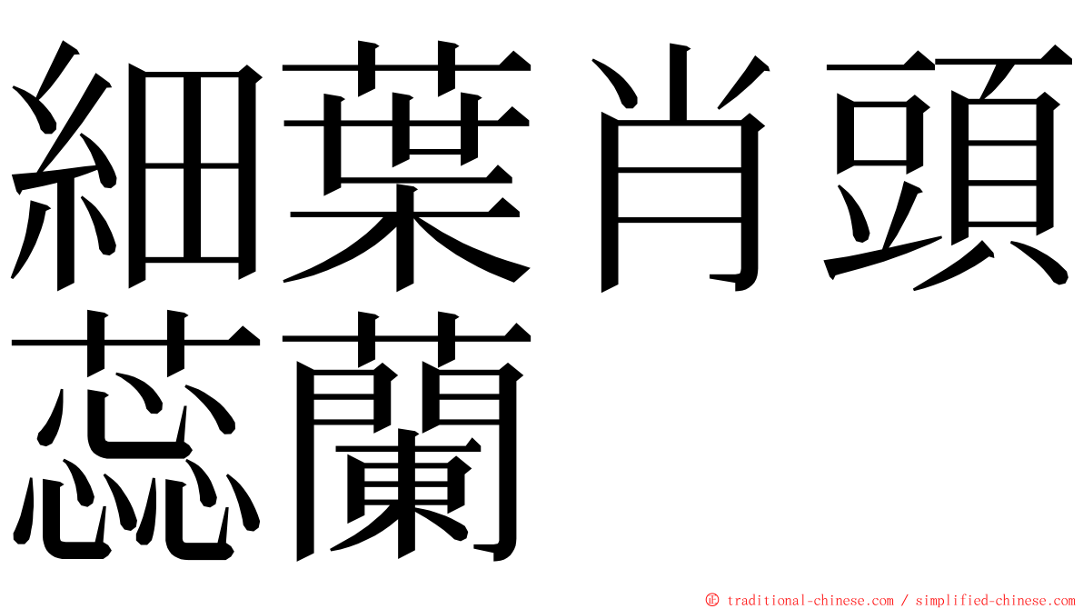 細葉肖頭蕊蘭 ming font