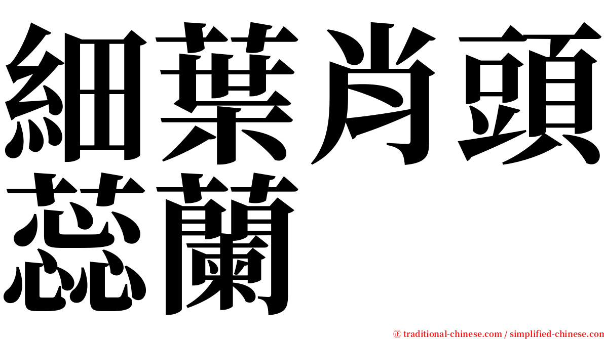 細葉肖頭蕊蘭 serif font