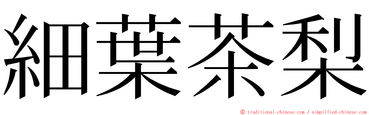 細葉茶梨 ming font