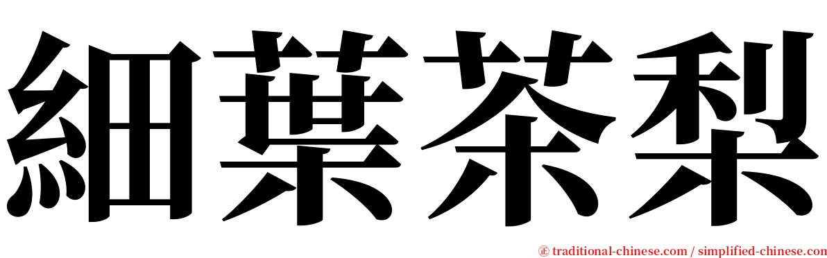 細葉茶梨 serif font