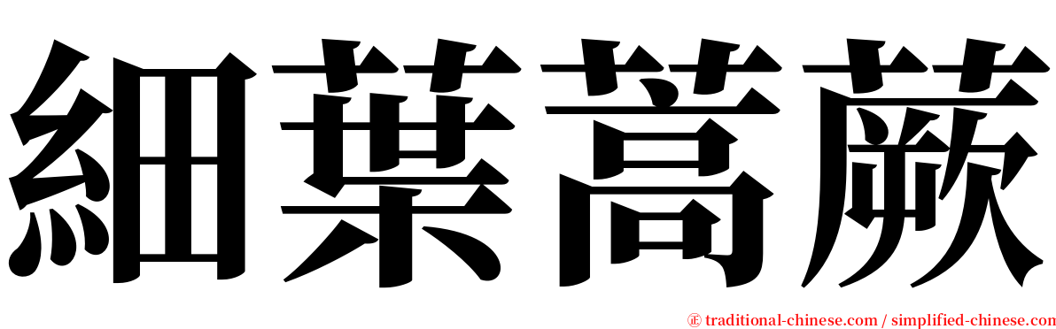 細葉蒿蕨 serif font