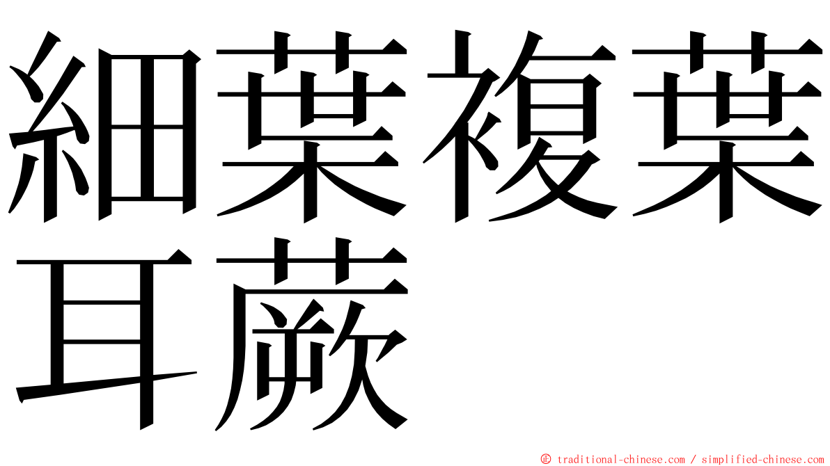 細葉複葉耳蕨 ming font