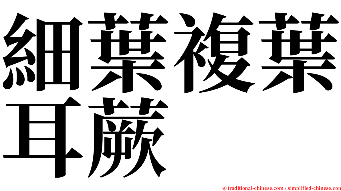 細葉複葉耳蕨 serif font