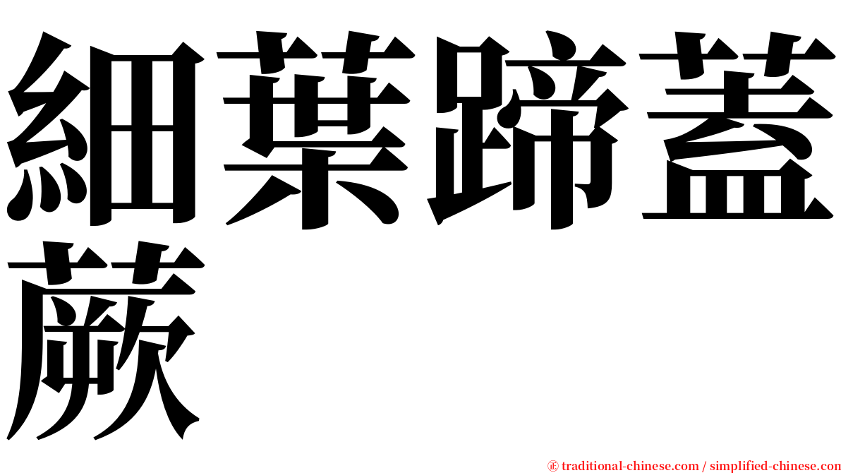 細葉蹄蓋蕨 serif font