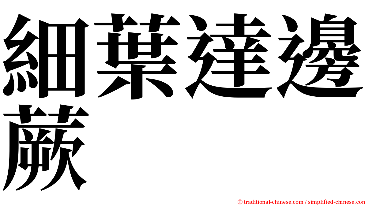 細葉達邊蕨 serif font