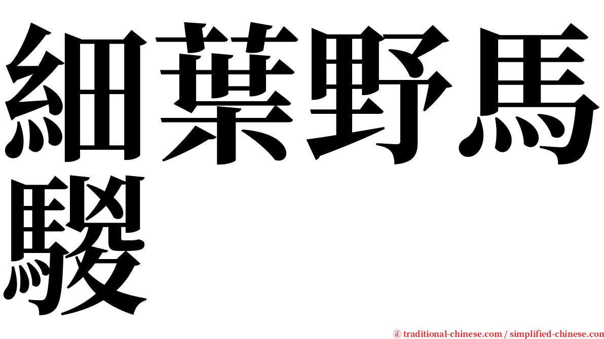 細葉野馬騣 serif font