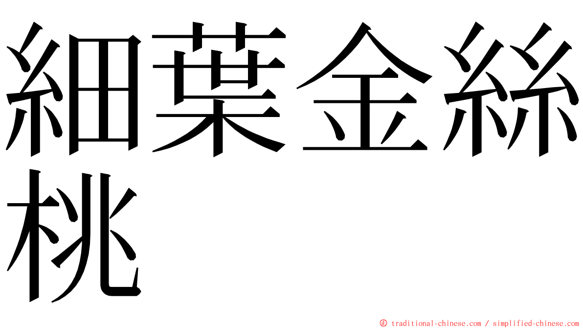 細葉金絲桃 ming font