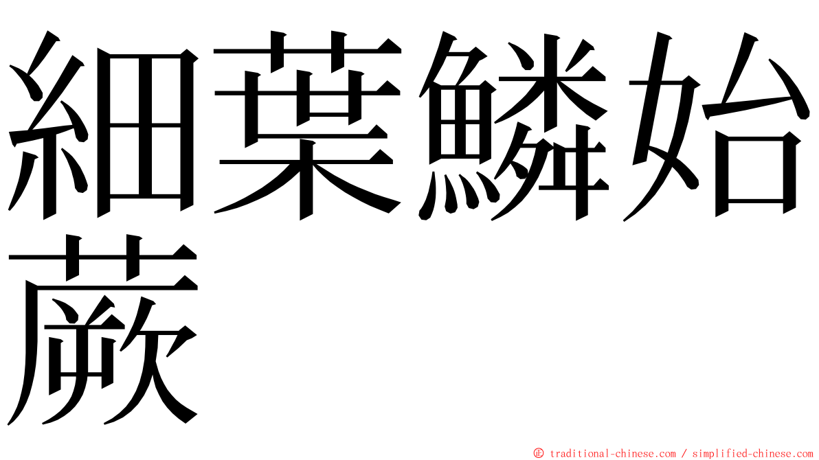 細葉鱗始蕨 ming font