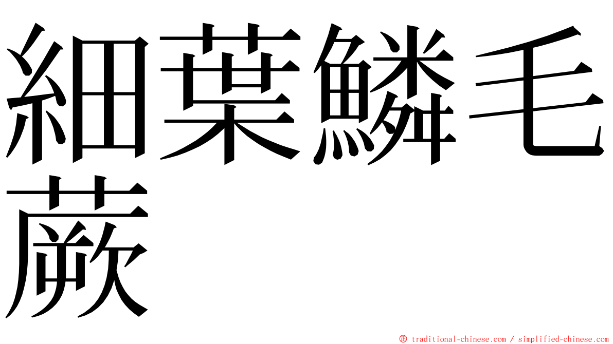 細葉鱗毛蕨 ming font