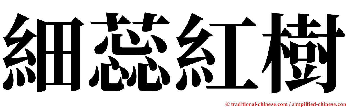 細蕊紅樹 serif font