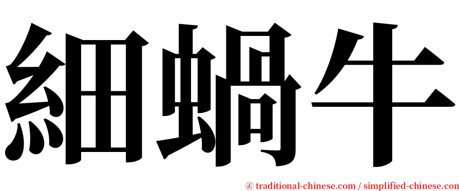 細蝸牛 serif font