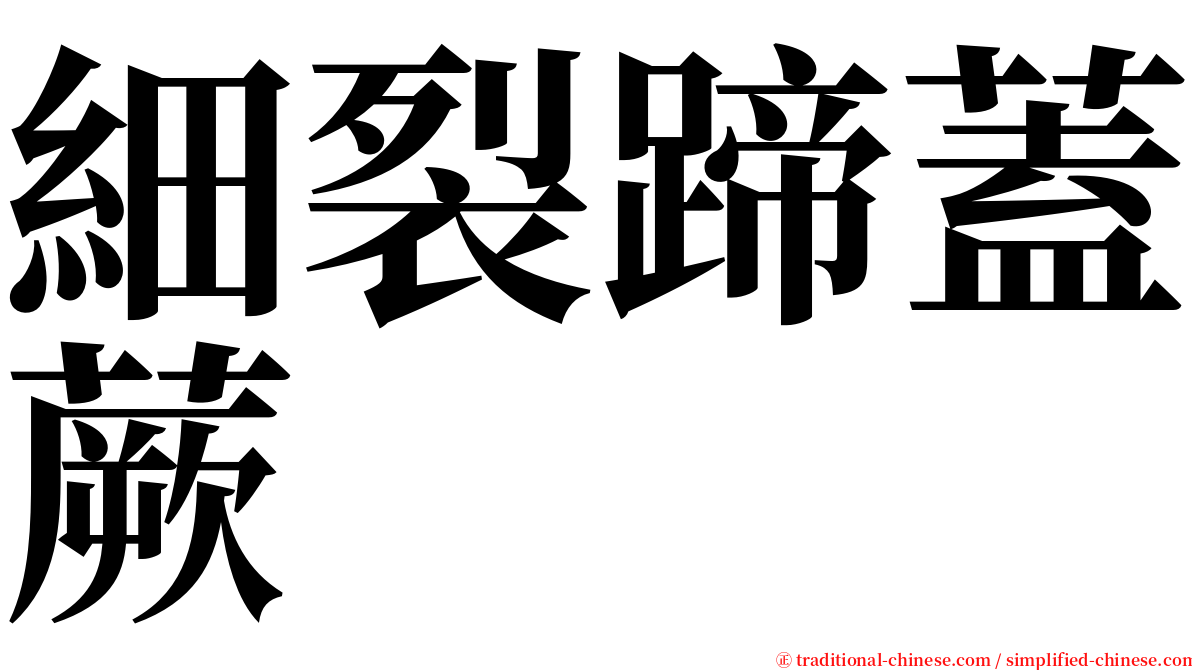 細裂蹄蓋蕨 serif font