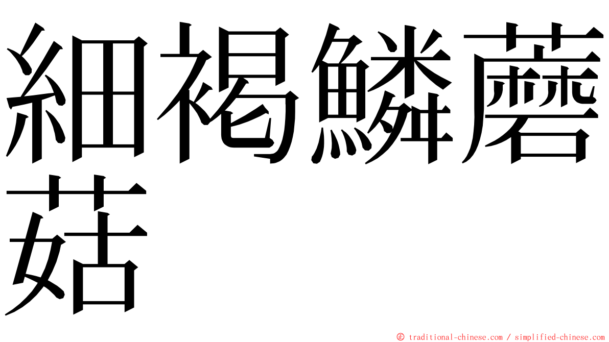 細褐鱗蘑菇 ming font