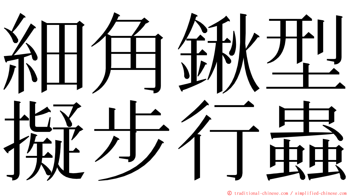 細角鍬型擬步行蟲 ming font
