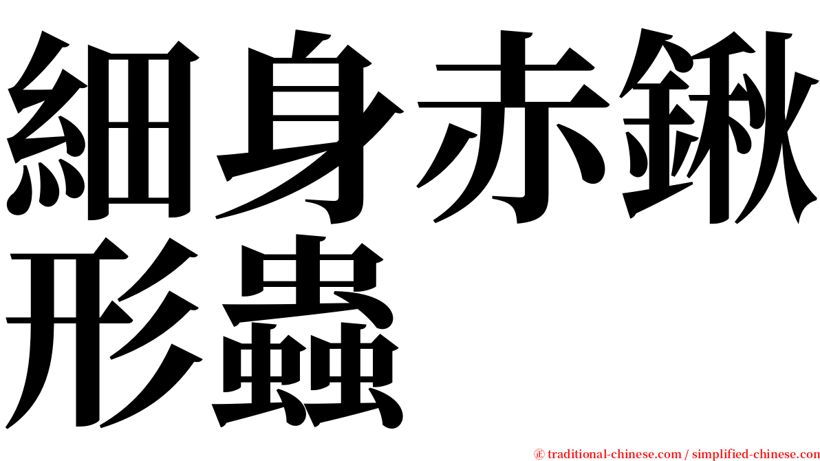 細身赤鍬形蟲 serif font