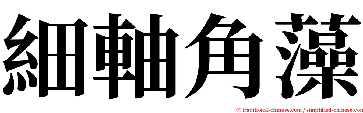 細軸角藻 serif font