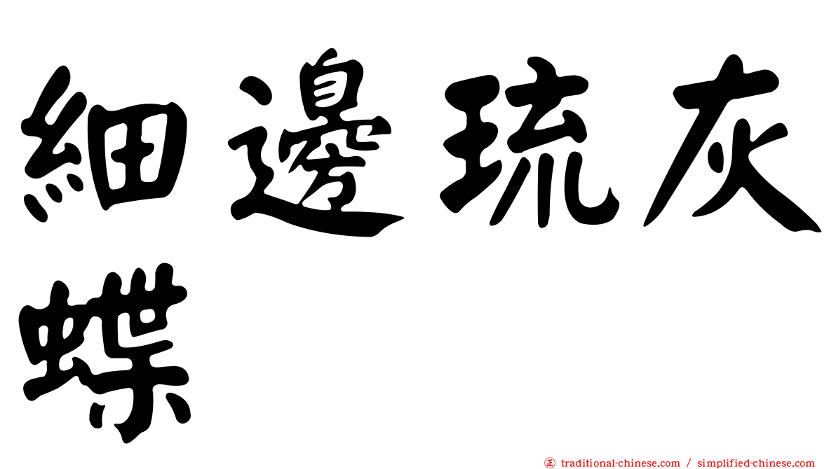 細邊琉灰蝶
