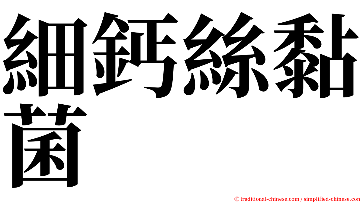 細鈣絲黏菌 serif font