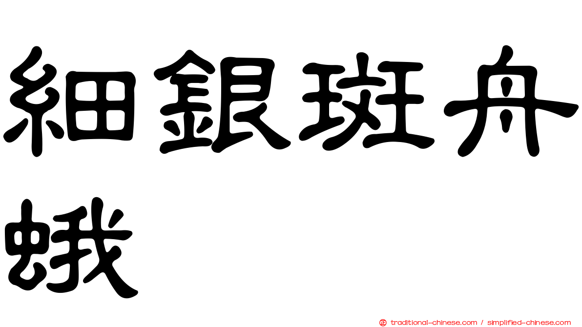 細銀斑舟蛾