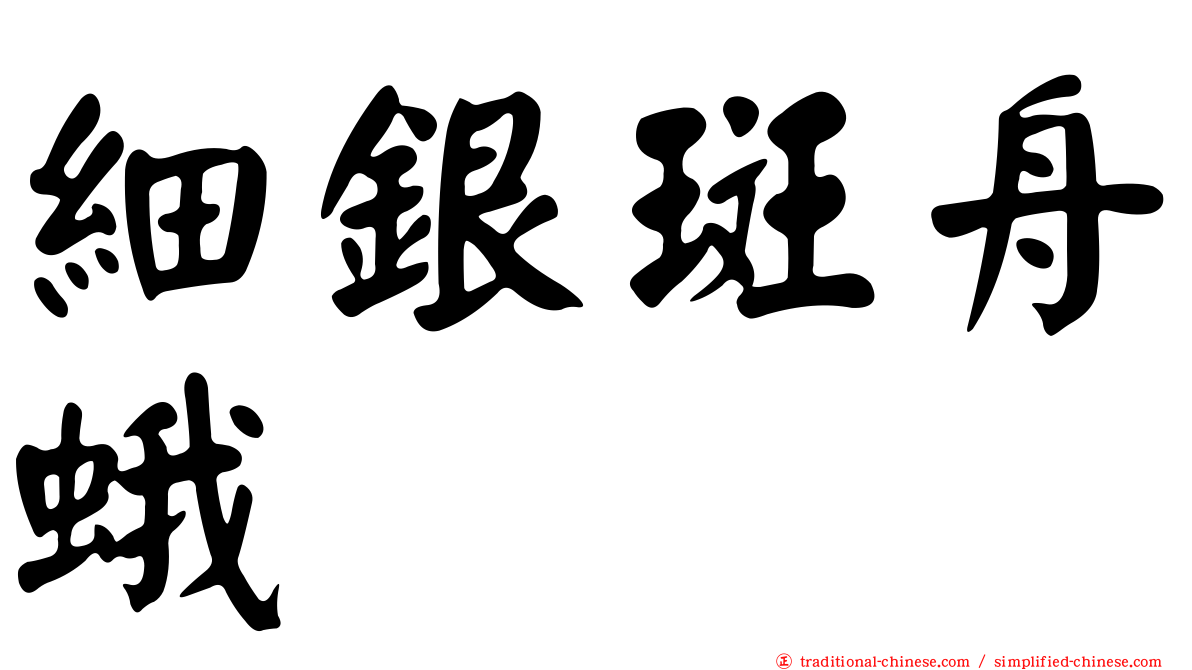 細銀斑舟蛾