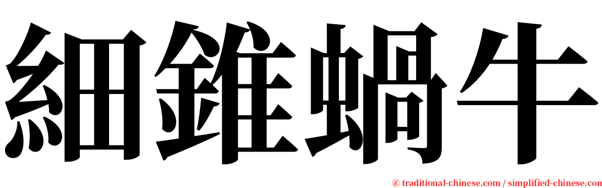 細錐蝸牛 serif font