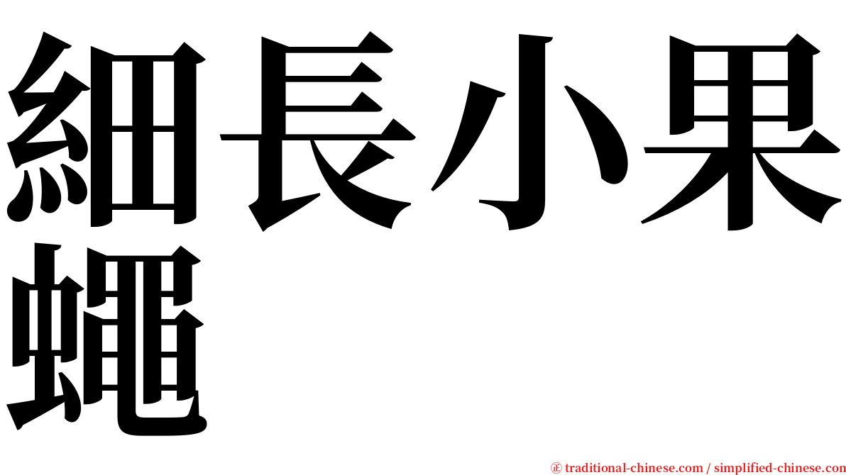 細長小果蠅 serif font