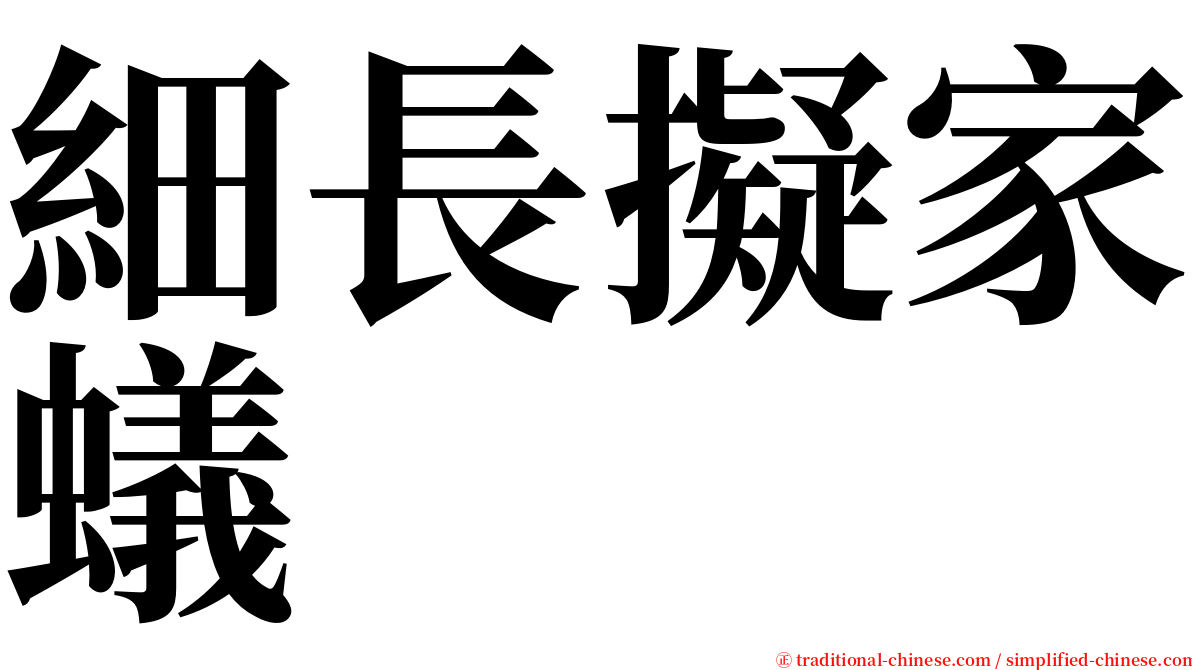 細長擬家蟻 serif font